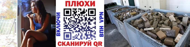 где купить   Гай  ГАШ Premium 