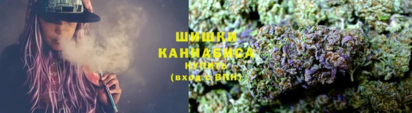 PSILOCYBIN Бронницы
