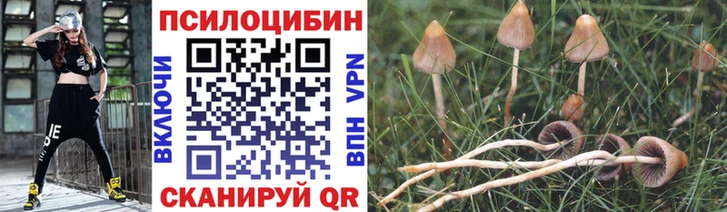 Галлюциногенные грибы Psilocybe  Гай 